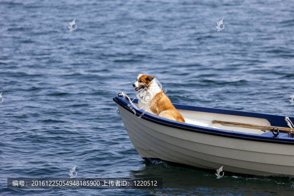 逆水行舟