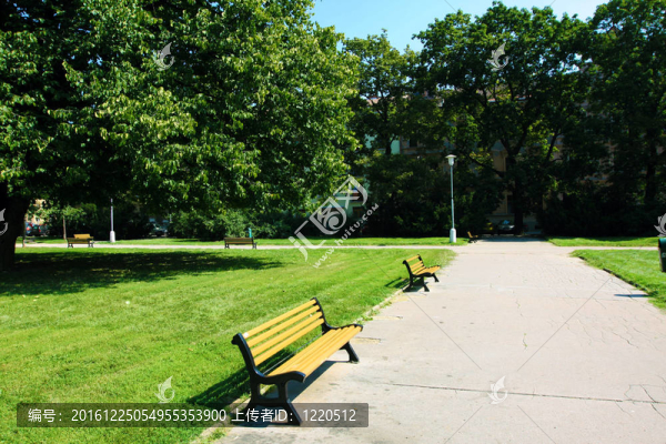 城市公園