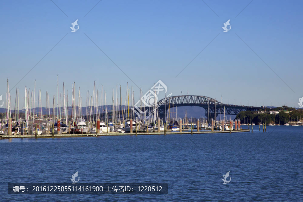 奧克蘭海港大橋