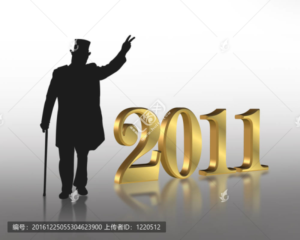 新的一年2011