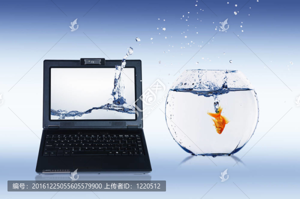 金魚和筆記本
