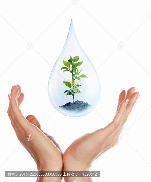 大滴水