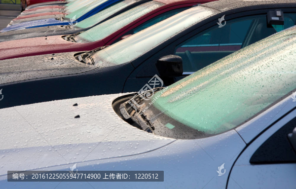 新的汽車