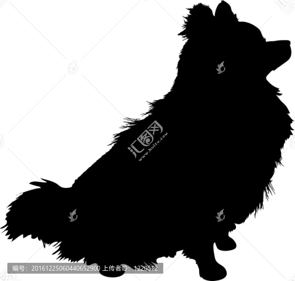 博美犬剪影