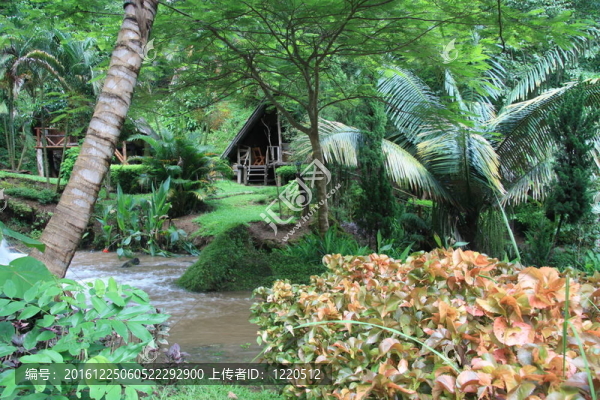 叢林村