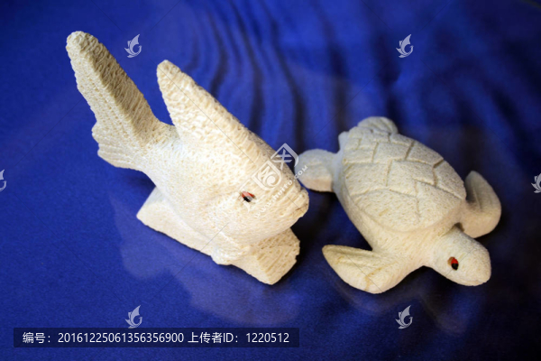 珊瑚魚和海龜