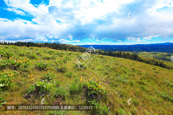 田野；丘陵；山水。