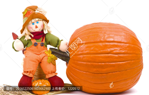 萬圣節(jié)的靜物