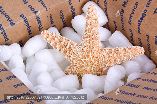 包假期驚喜