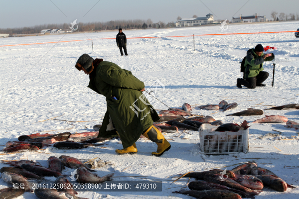 冬捕,捕魚,打凍網