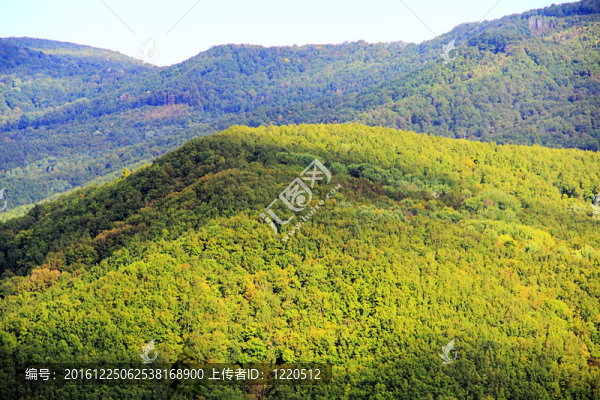 高加索山脈夏季景觀