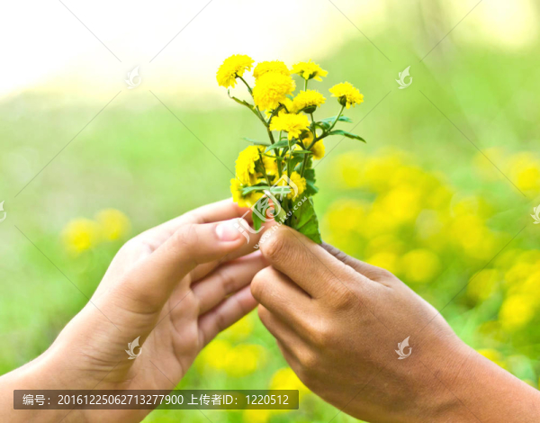 花在人的手中