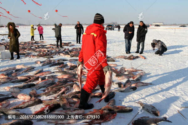 冬捕,捕魚
