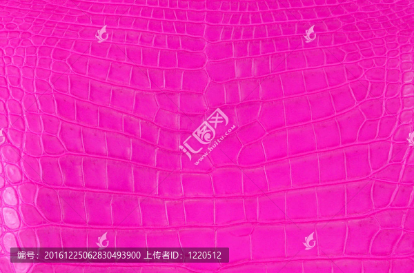 粉紅鱷魚皮。