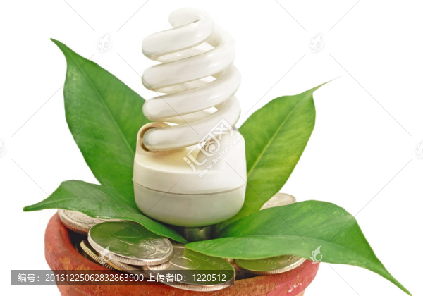 熒光燈生態(tài)鍋與金錢硬幣