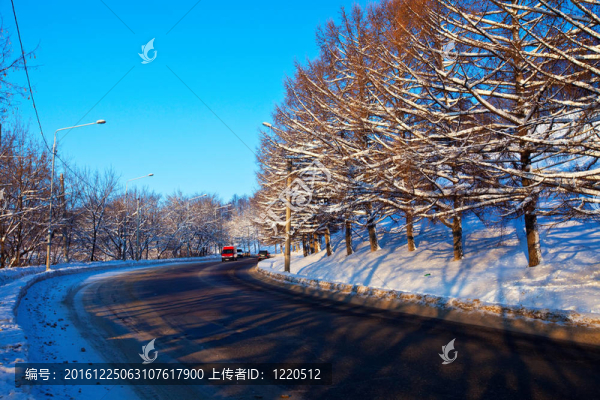 冬林公路