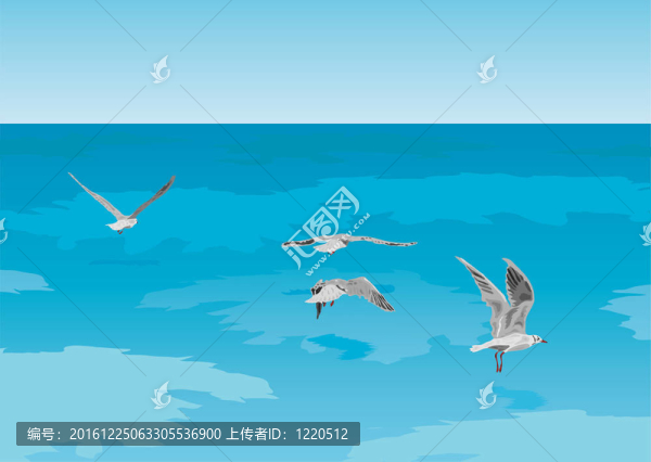 海鷗在海上