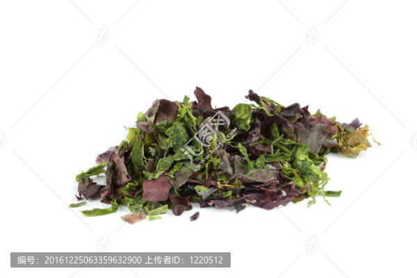 巧拌海茸