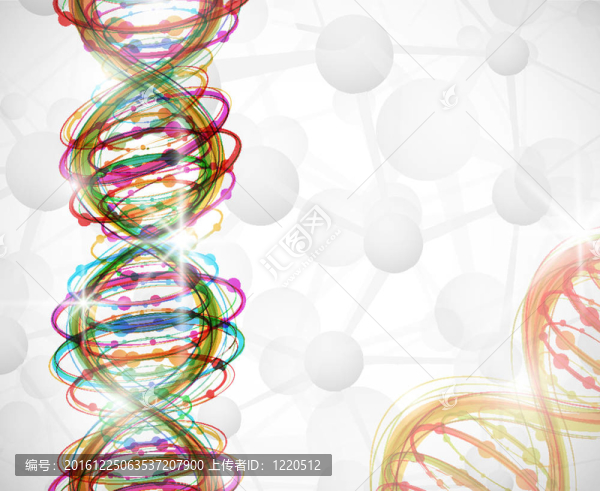 DNA分子