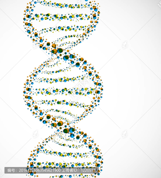 DNA分子