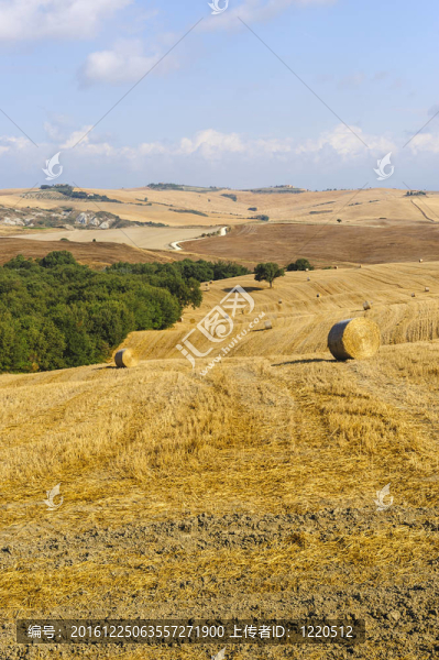 Val,d,Orcia（托斯卡納）景觀