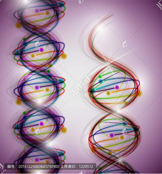 DNA分子