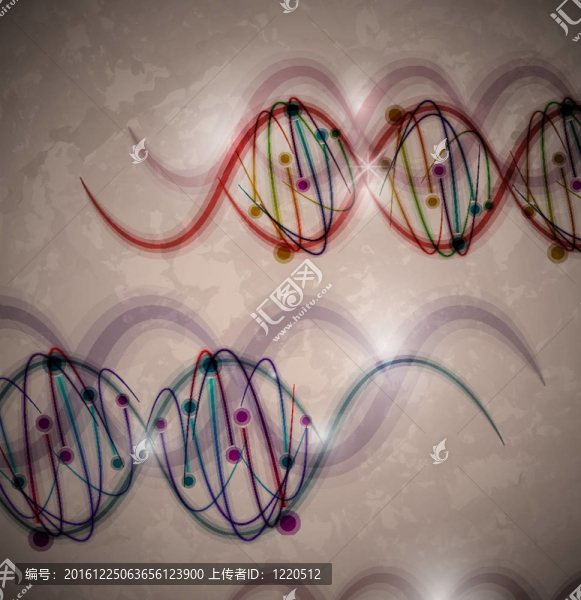 DNA分子