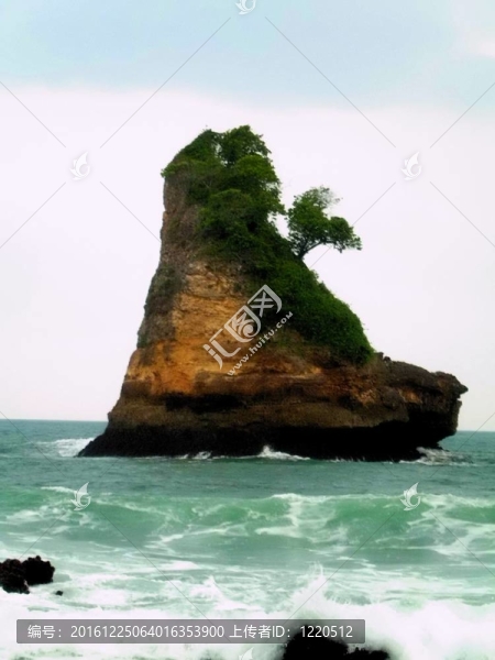 珊瑚島