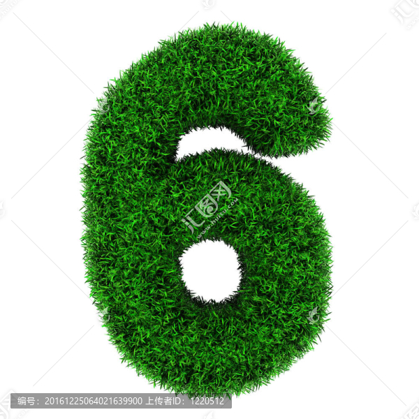 草6號(hào)
