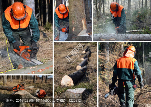 Woodcutter；林工作組