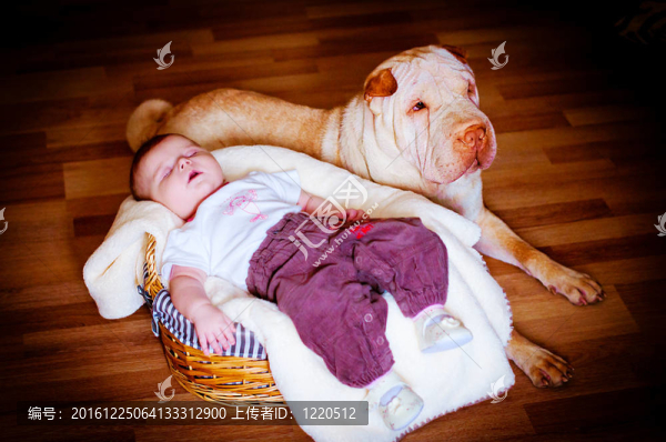帶狗的嬰兒