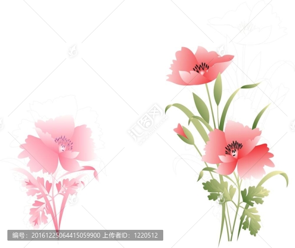 花香尾韻