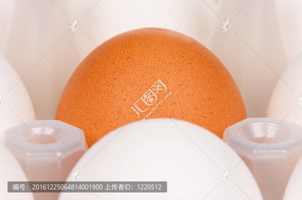 雞蛋盒