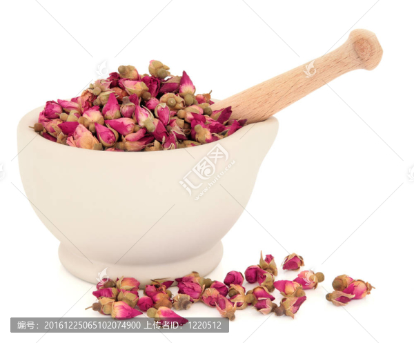 玫瑰的花蕾