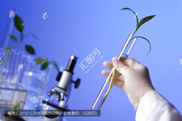 在綠色植物生物學(xué)實(shí)驗(yàn)室