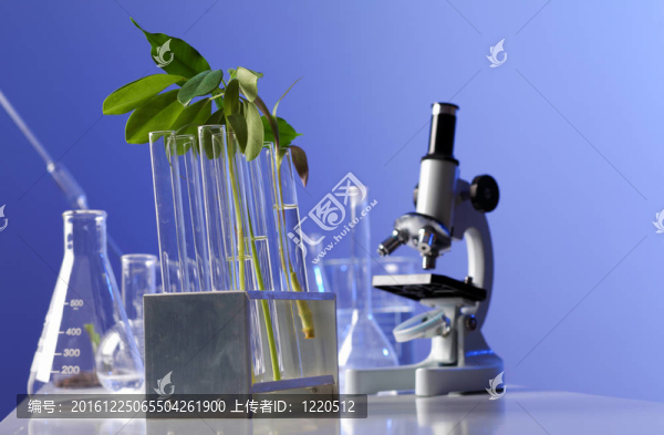 在綠色植物生物學(xué)實驗室