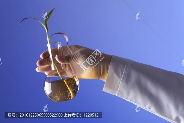 在綠色植物生物學(xué)實(shí)驗(yàn)室