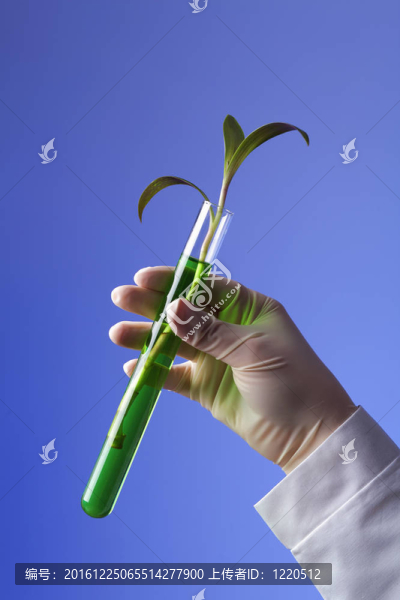 在綠色植物生物學(xué)實(shí)驗(yàn)室