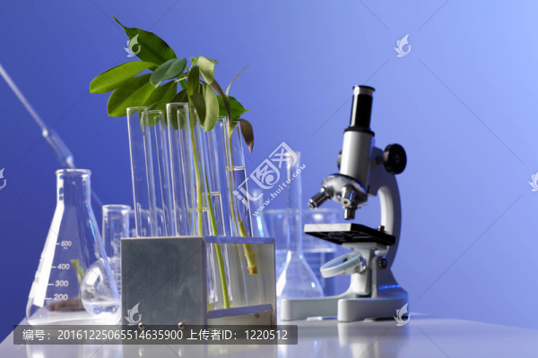 在綠色植物生物學(xué)實(shí)驗(yàn)室