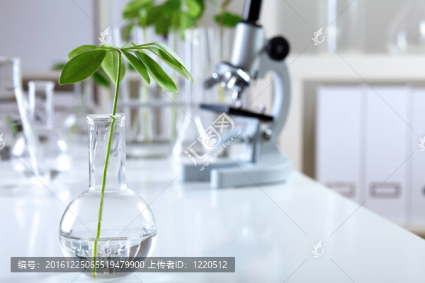 在綠色植物生物學(xué)實(shí)驗(yàn)室