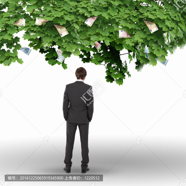 金錢樹與年輕商人
