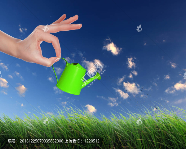 人工手草