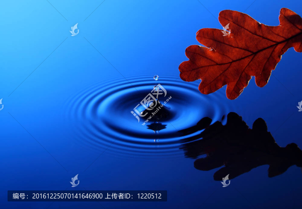 滴水入水