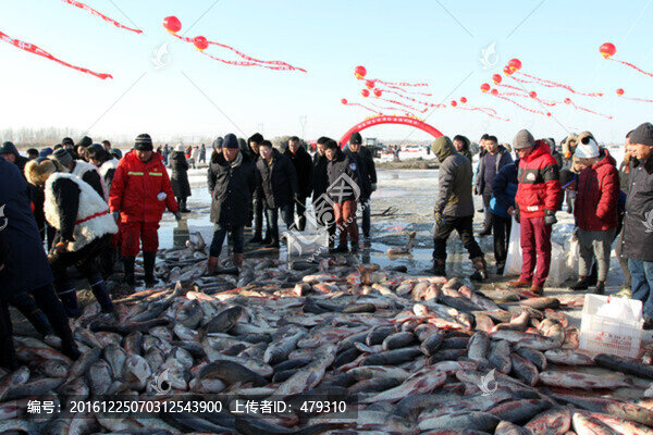 冬捕,捕魚,打凍網(wǎng),淡水魚