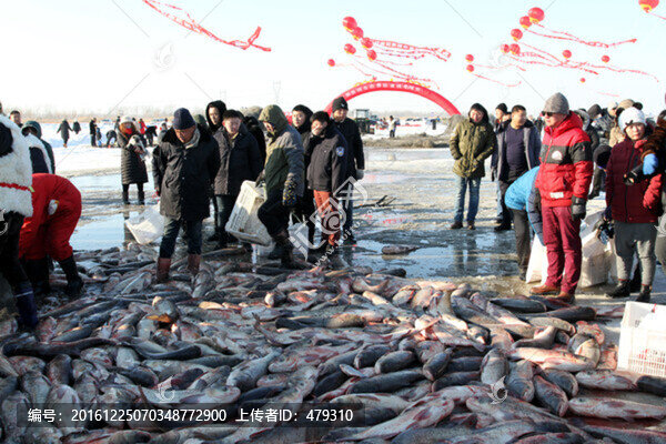 冬捕,捕魚,打凍網