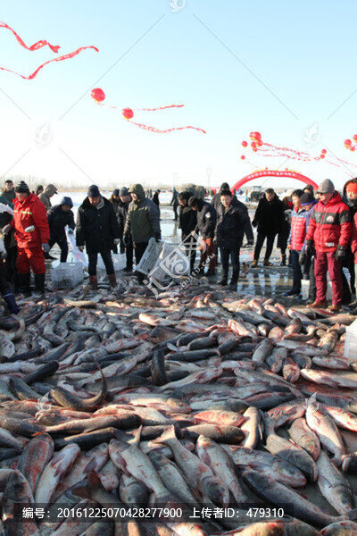 冬捕,捕魚,打凍網(wǎng)