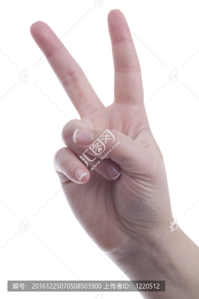 手征和平征