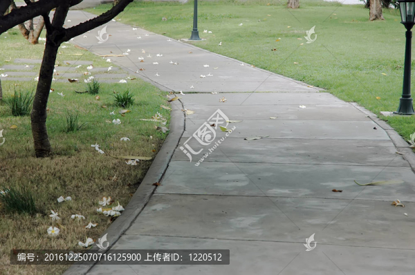 公園路