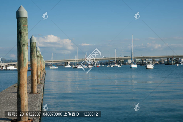 碼頭和海景。