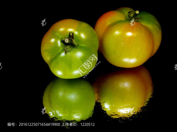 鮮食番茄